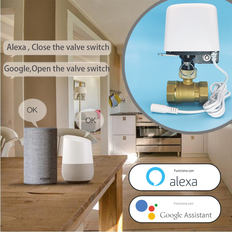 Válvula de Agua Inteligente Tu - Home Assistant Tuya reseña y precio